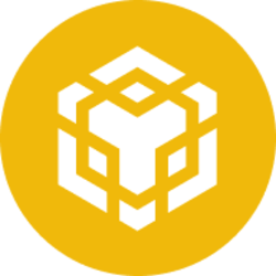 BNB crypto coin
