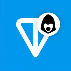 TON crypto coin